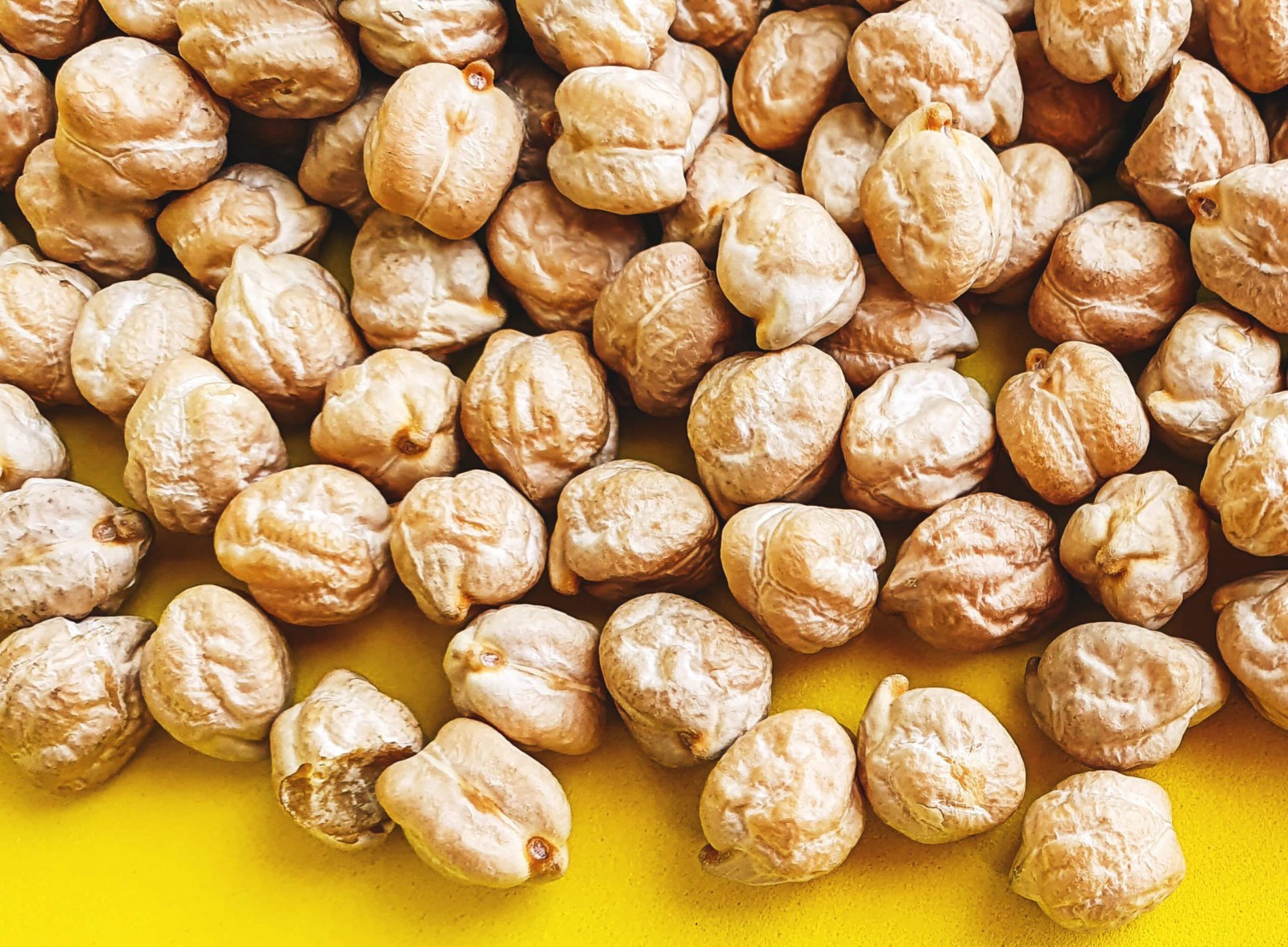 Pois-chiches secs 800g
