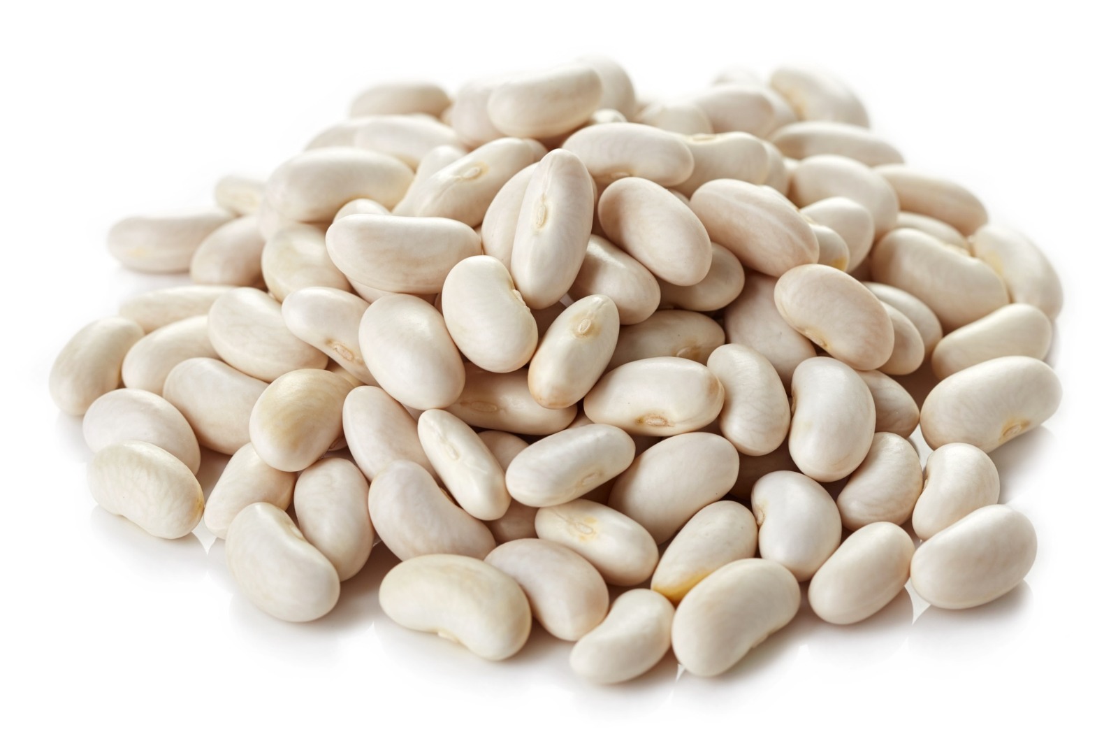 Aricot blanc sec800g
